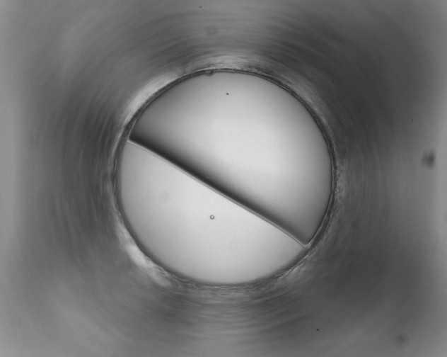 X0000111131042200906301100