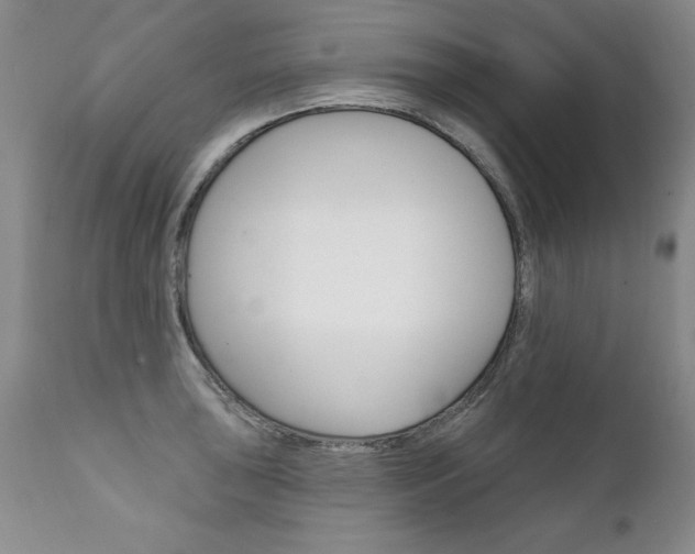 X0000111131043200906301100