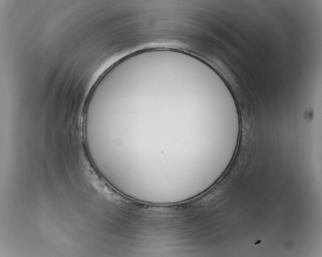X0000111131044200906301100