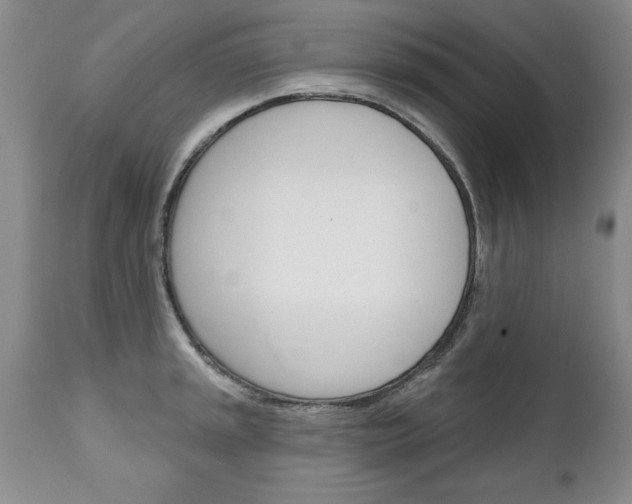 X0000111131045200906301100