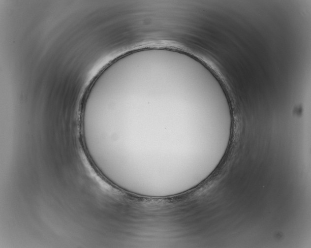 X0000111131046200906301100