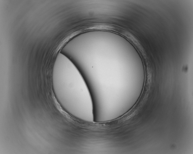 X0000111131049200906301100