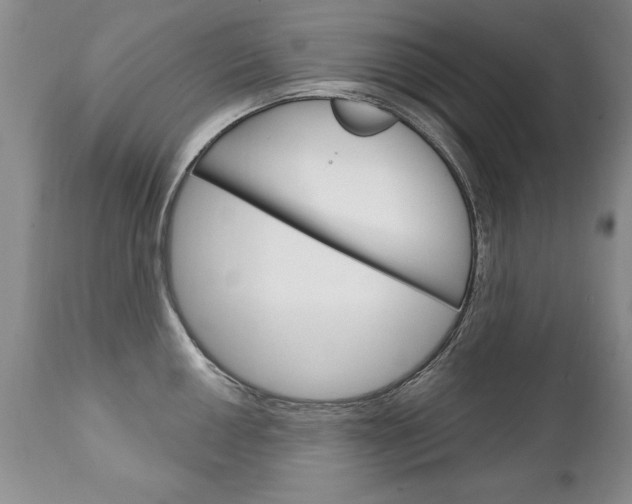 X0000111131050200906301100