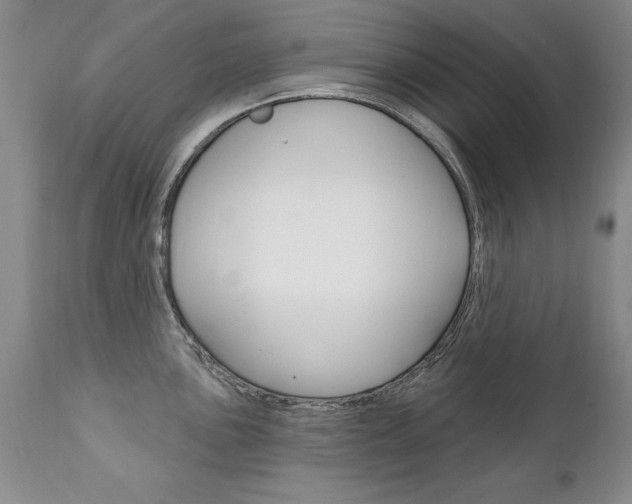 X0000111131051200906301100