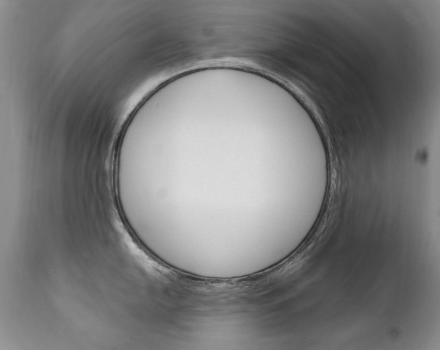 X0000111131054200906301100