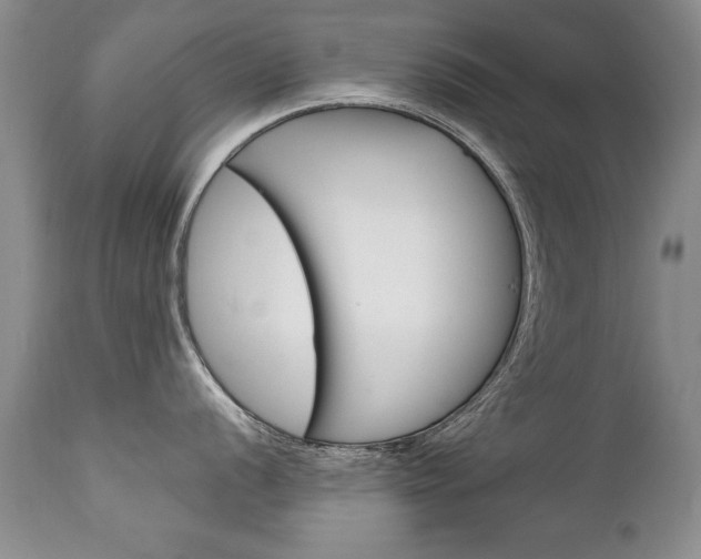 X0000111131056200906301100