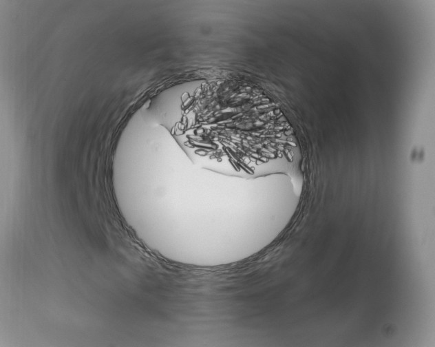 X0000111131057200906301100