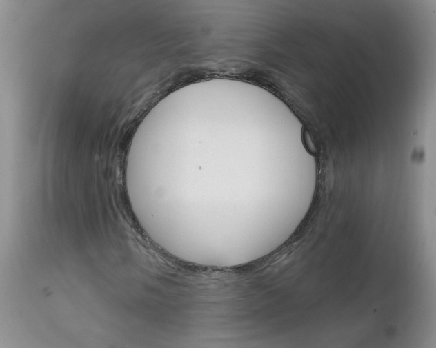 X0000111131058200906301100