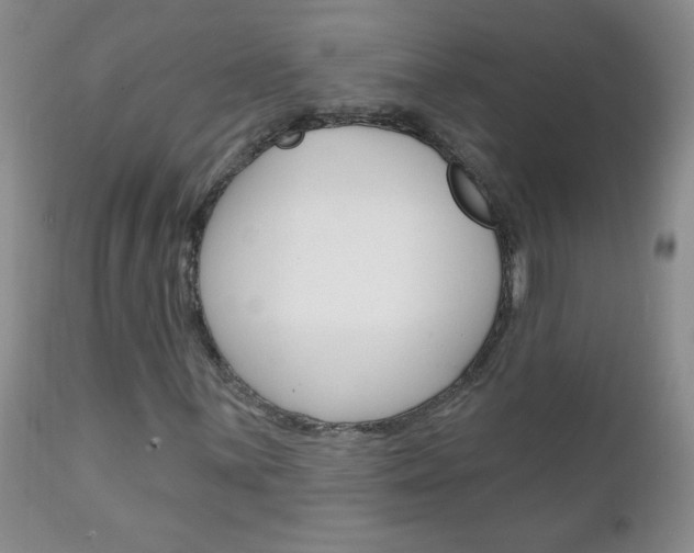 X0000111131059200906301100