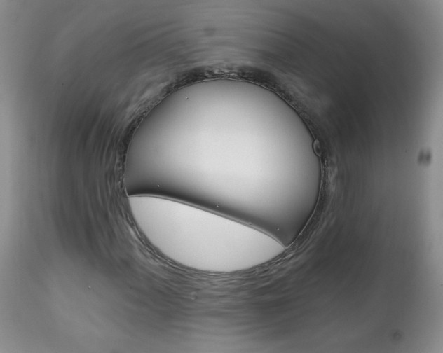 X0000111131060200906301100
