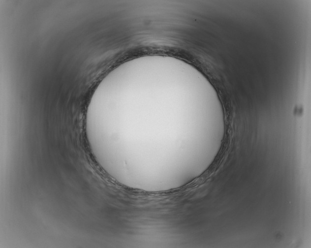 X0000111131061200906301100