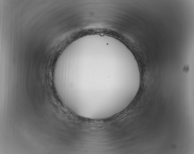 X0000111131062200906301100