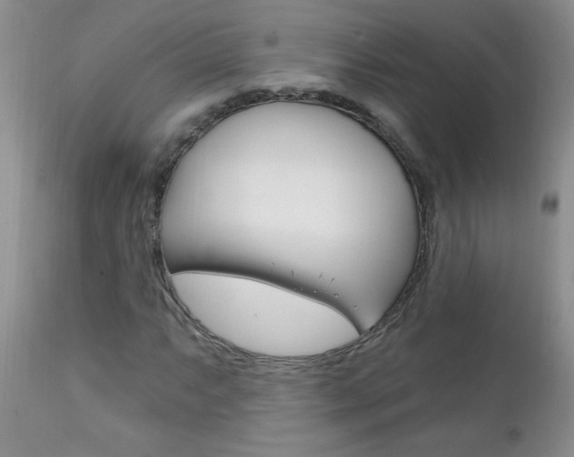 X0000111131063200906301100