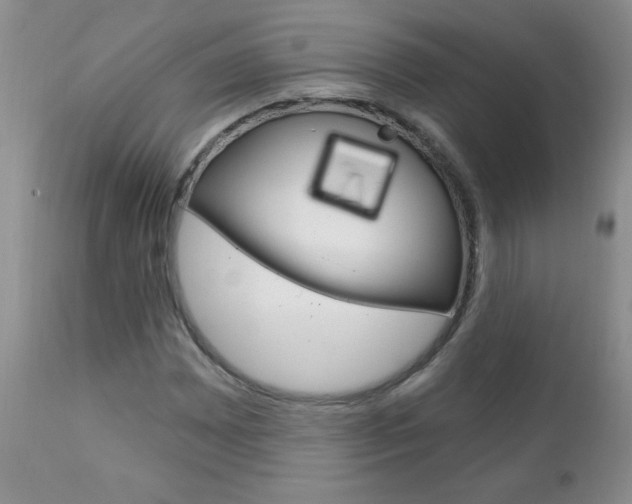 X0000111131065200906301100