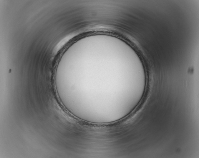X0000111131066200906301100