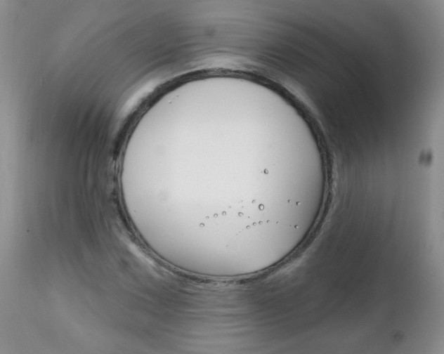 X0000111131067200906301059