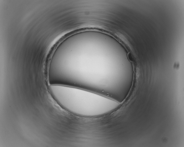 X0000111131068200906301059