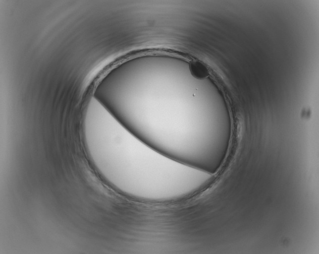 X0000111131069200906301059