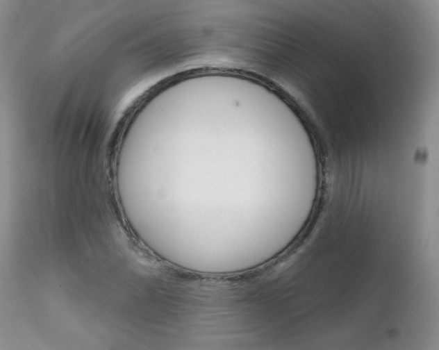 X0000111131070200906301059