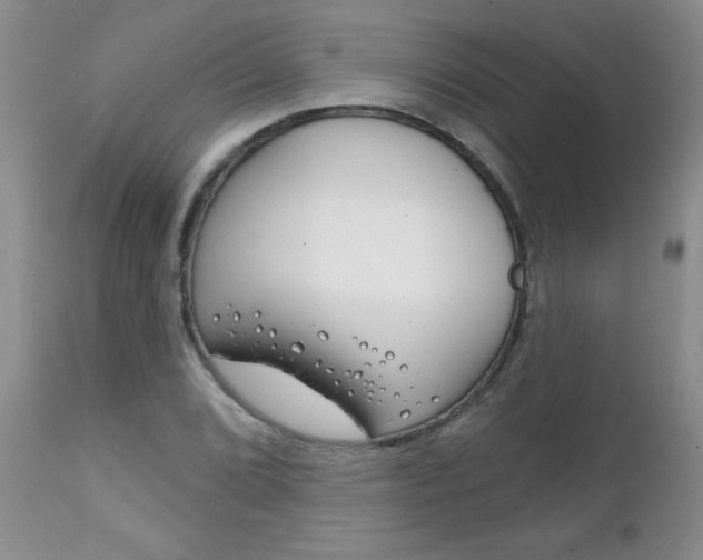 X0000111131072200906301059
