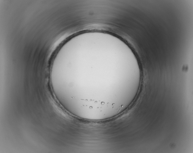 X0000111131075200906301059