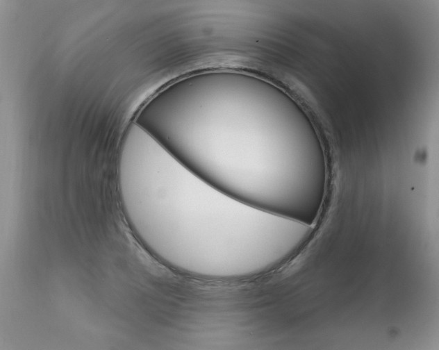 X0000111131081200906301059