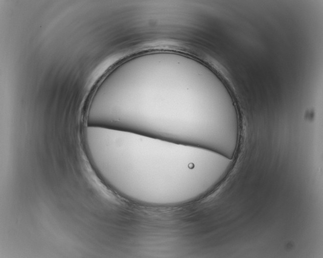 X0000111131082200906301059