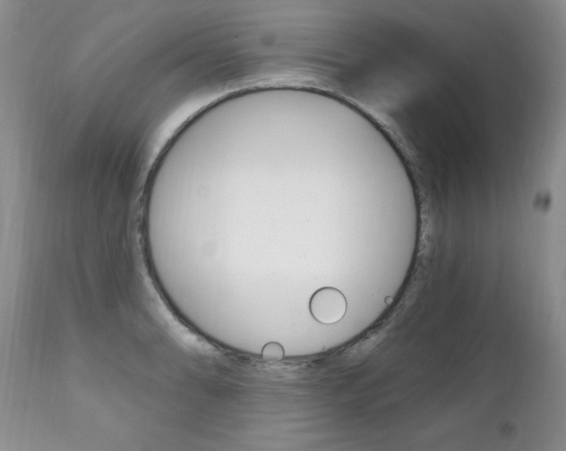 X0000111131086200906301059