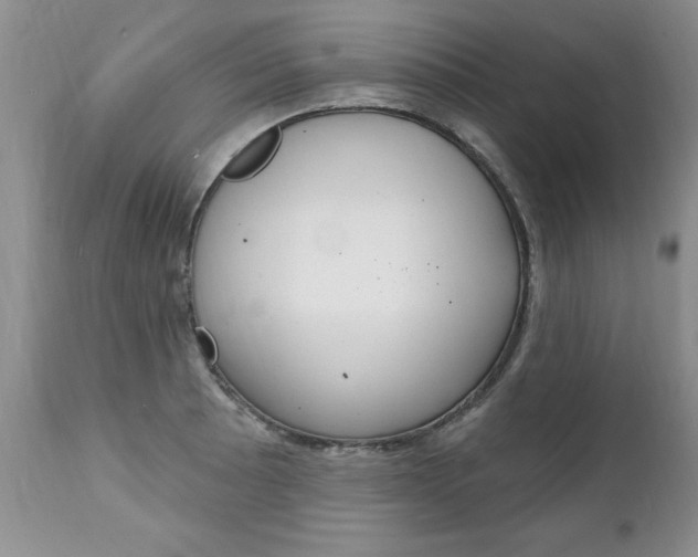 X0000111131089200906301059