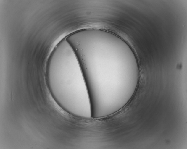 X0000111131091200906301059