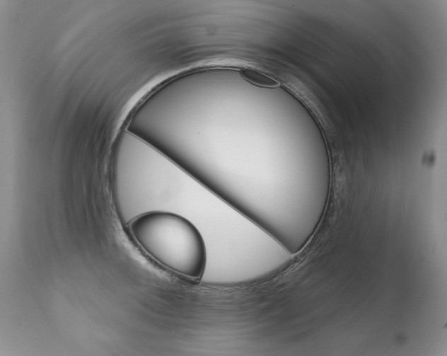 X0000111131092200906301059