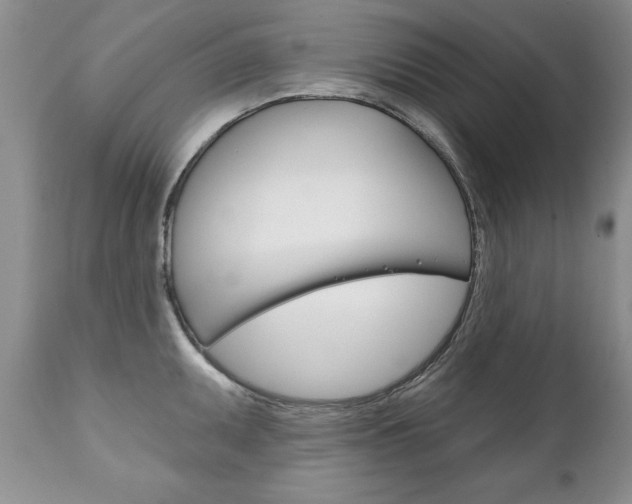 X0000111131095200906301059