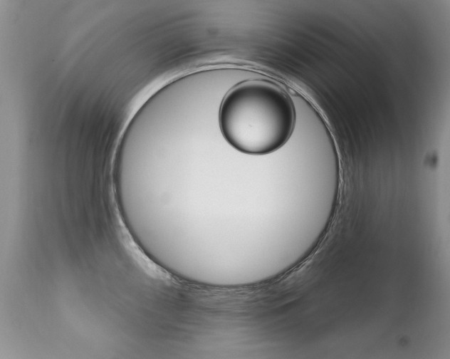 X0000111131098200906301059