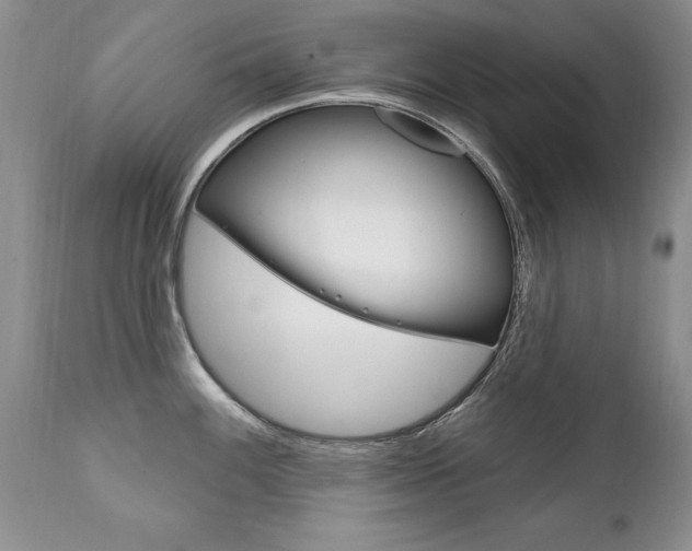 X0000111131100200906301059