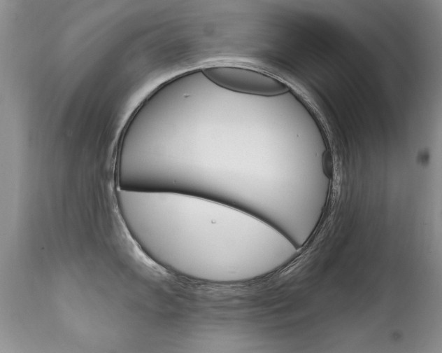 X0000111131102200906301059