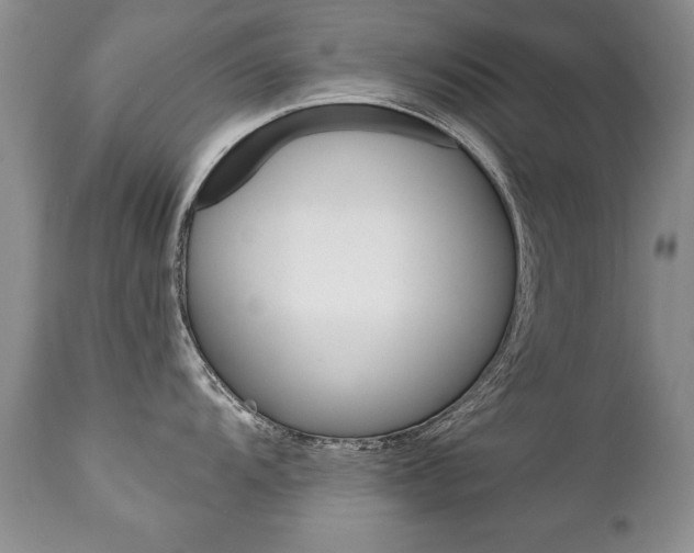 X0000111131104200906301059
