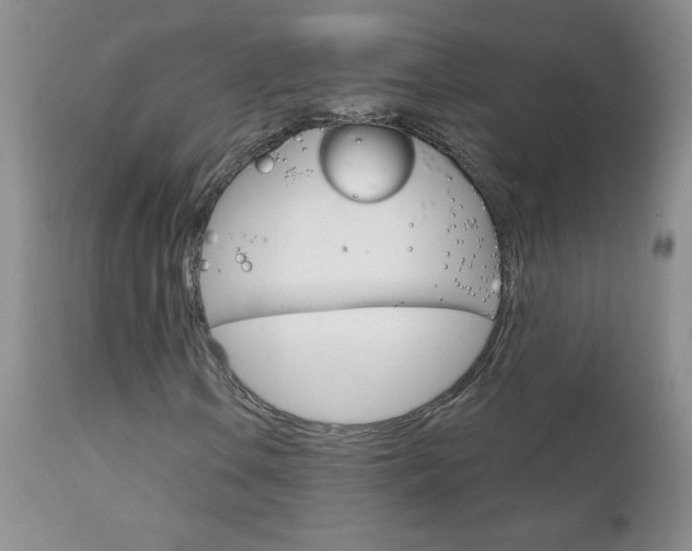 X0000111131106200906301058