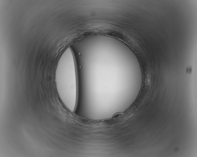 X0000111131108200906301058
