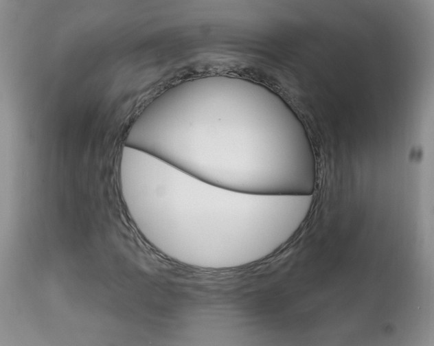 X0000111131109200906301058