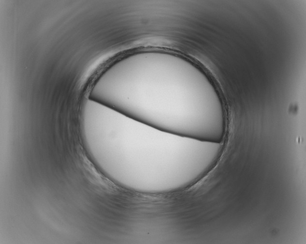 X0000111131115200906301058