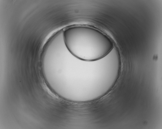 X0000111131116200906301058