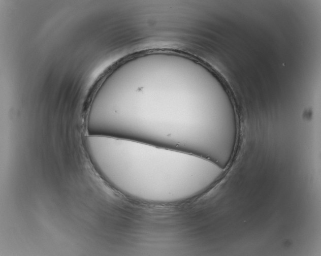 X0000111131119200906301059