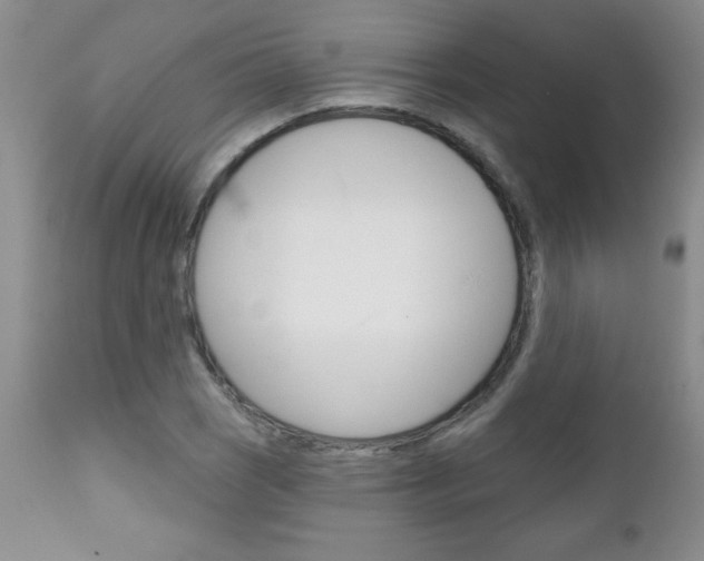 X0000111131121200906301059