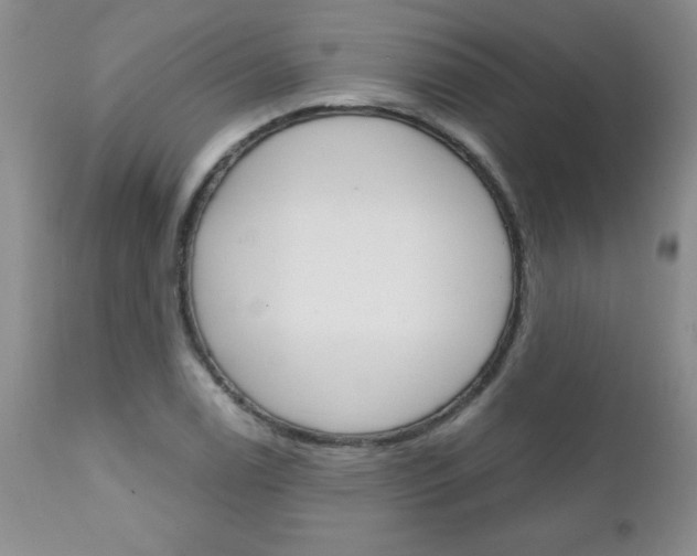 X0000111131122200906301059