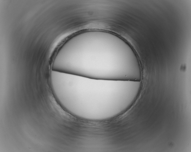 X0000111131123200906301059
