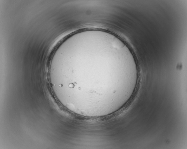 X0000111131125200906301059