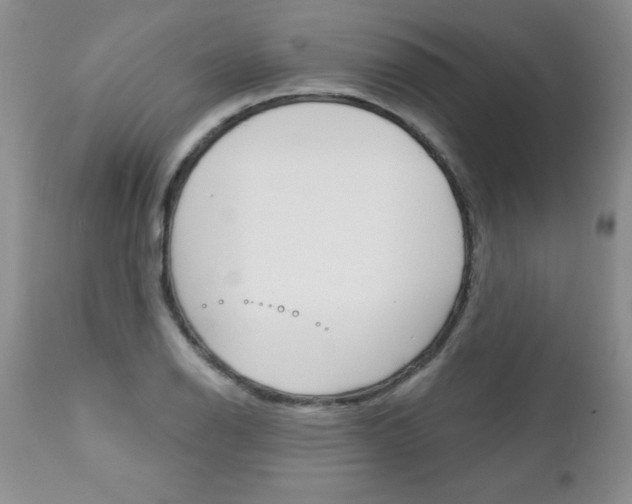 X0000111131126200906301059