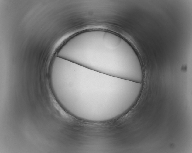 X0000111131127200906301059