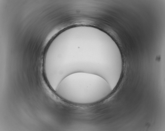 X0000111131130200906301059