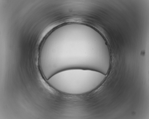 X0000111131131200906301059